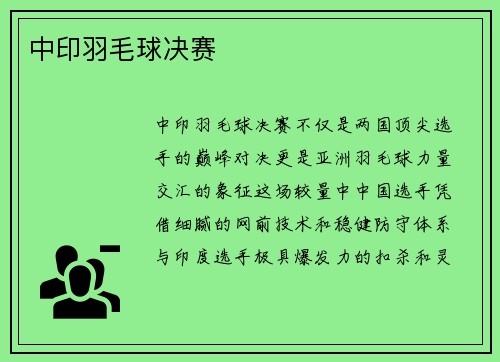 中印羽毛球决赛
